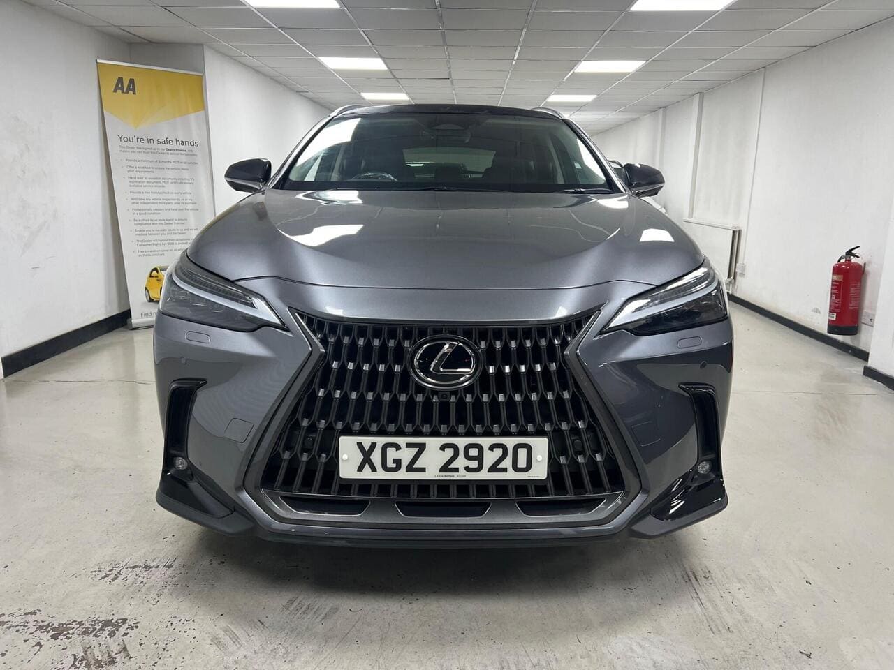 2022 Lexus NX, front (photo 2 of 46)